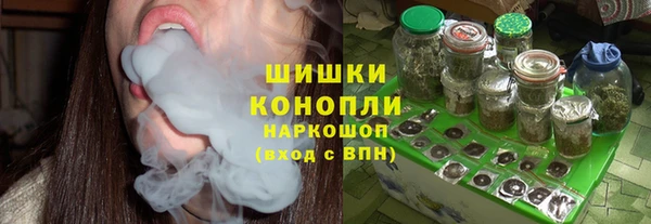 шишки Арсеньев