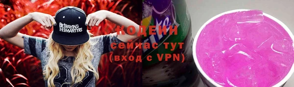 шишки Арсеньев
