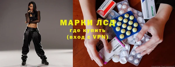 шишки Арсеньев