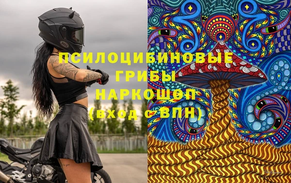 спиды Армянск